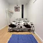 Artistic Student House